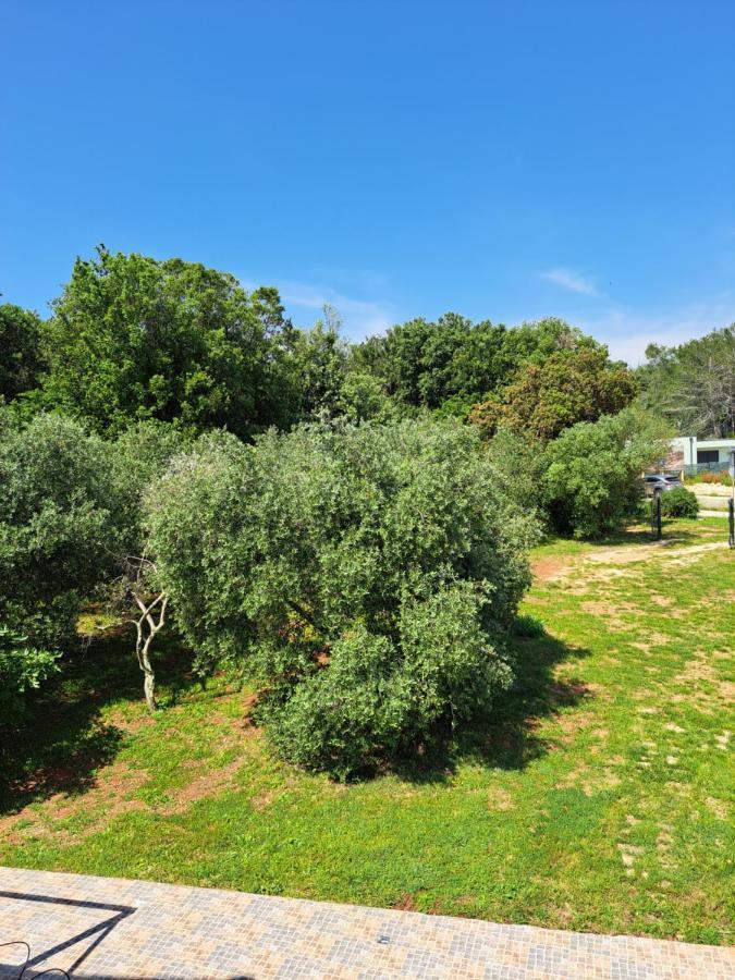 Villa Eucaliptus Istrien Rovinj Exterior foto